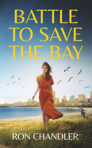 Battle to Save the Bay en promo sur Amazon