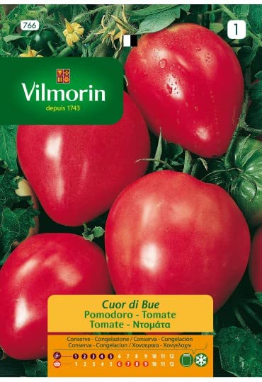 Semillas de TOMATE CORAZON BUEY S-1 766, 1 gr - Jardin & Extérieur Amazon Espagne à 2.50€