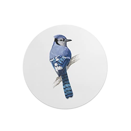 Questo Casa, Round Digital Printed Mouse Pad, Non-Slip... - High-Tech & Électronique Amazon Royaume-Uni à 7.79€