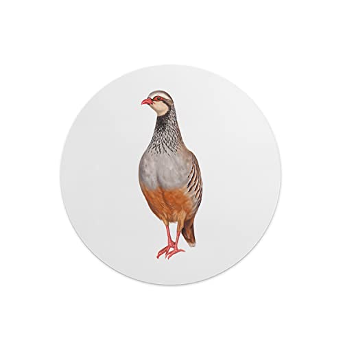 Questo Casa, Round Digital Printed Mouse Pad, Non-Slip... - Tech & Electronics Amazon UK à 8.63€