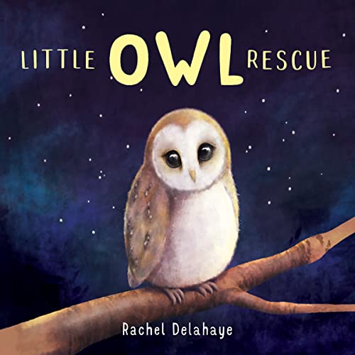 Little Owl Rescue - Maison & Cuisine Amazon Royaume-Uni à 5.83€