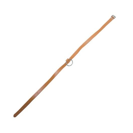 DIMOS - Cintura L 25 mm, rif. 205724 - Amazon Italy à 12.35€