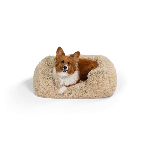 Best Friends by Sheri Soothe & Snooze Lounge Shag... - Maison & Cuisine Amazon Royaume-Uni à 19.96€