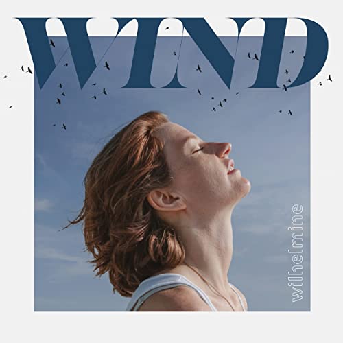 Wind (Softpak) - Musique & Instruments Amazon Italie à 5.68€