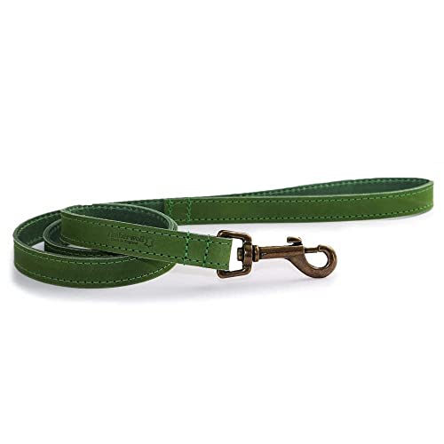 Ancol Timberwolf Laisse en Cuir Vert 1 m x 19 mm - Animalerie Amazon France à 14.13€