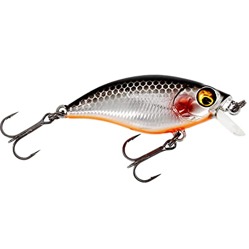 Westin BUZZBITE SR Crankbait Wobbler Kunstköder für Barsch... - Sports & Fitness Amazon Allemagne à 9.99€