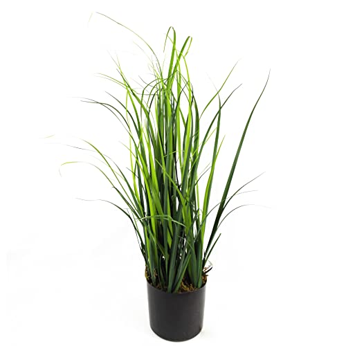 Leaf Design UK Realistic Artificial Grass Plant with Pot... - Jardin & Extérieur Amazon Royaume-Uni à 23.99€