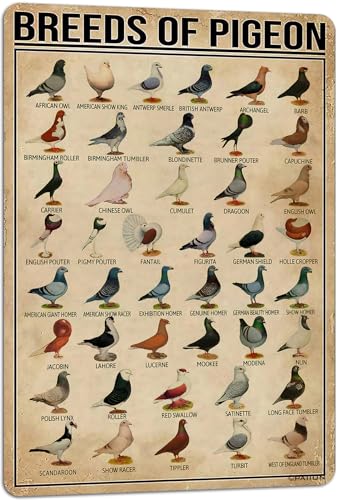 PAIION Breeds of Pigeon Metal Signs Pigeon Education... - Animalerie Amazon Royaume-Uni à 1.75€