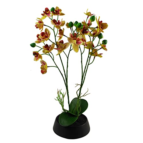 Leaf Artificial Orchid with Black Ceramic Planter - Jardin & Extérieur en promo à 8.09€