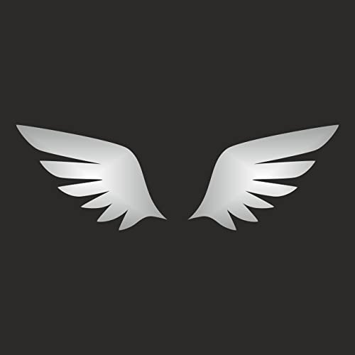 AMA SHOP Adesivo in PVC Prespaziato ali Effetto olografico... - High-Tech & Électronique Amazon Italie à 2.70€