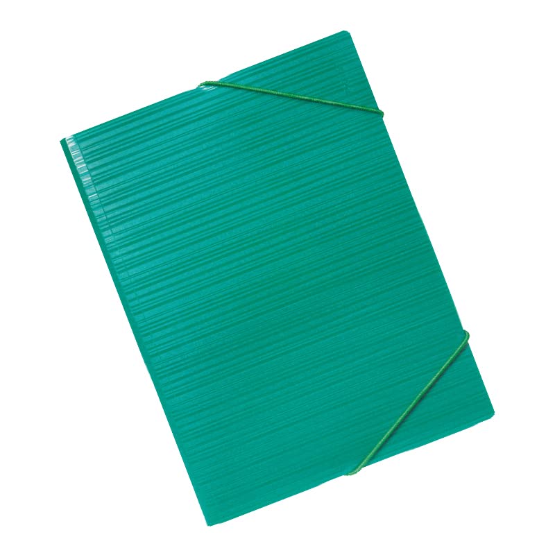 Cartellina con elastici verde FACTIS® - Auto & Moto en promo à 4.62€