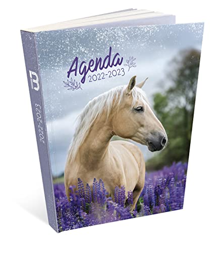 AGENDA CHEVAL 12 x 17 cm BOUCHUT en promo à 4,57€ (-60%) sur Amazon FR