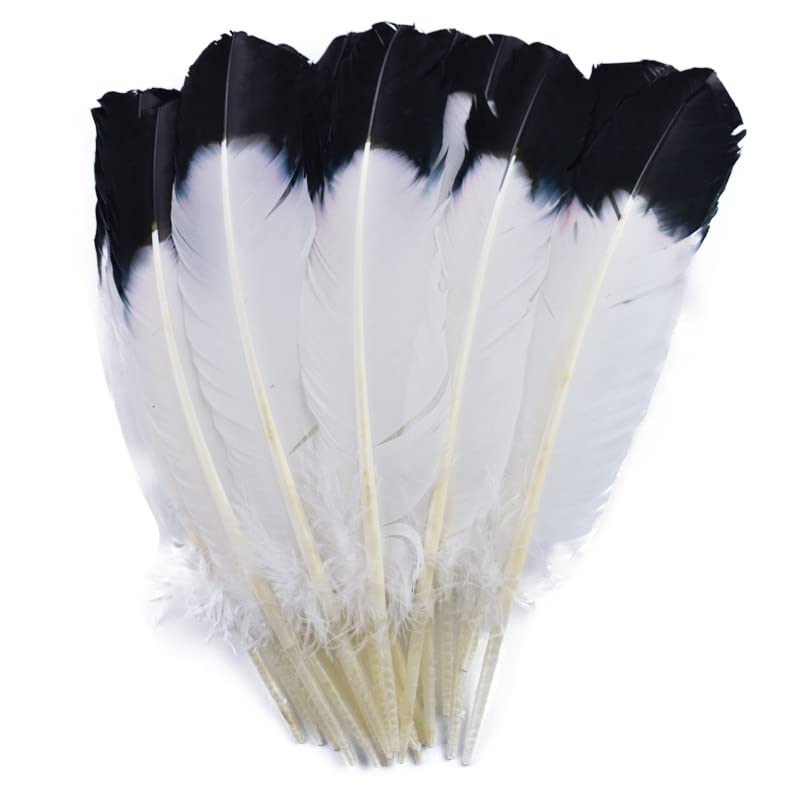 LIUXIN 10 pièces/lot Plume d'aile de Dinde Plumes... - Loisirs Créatifs Amazon France à 9.69€