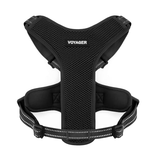 Air Frontier Mesh Dog Harness with Steel Leash D-Ring... - Animalerie Amazon Royaume-Uni à 6.89€