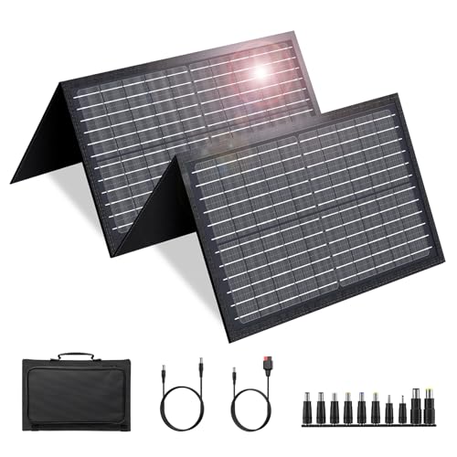 60W Solar Panel for Portable Power Station, Foldable Solar... - High-Tech & Électronique Amazon France à 109.69€