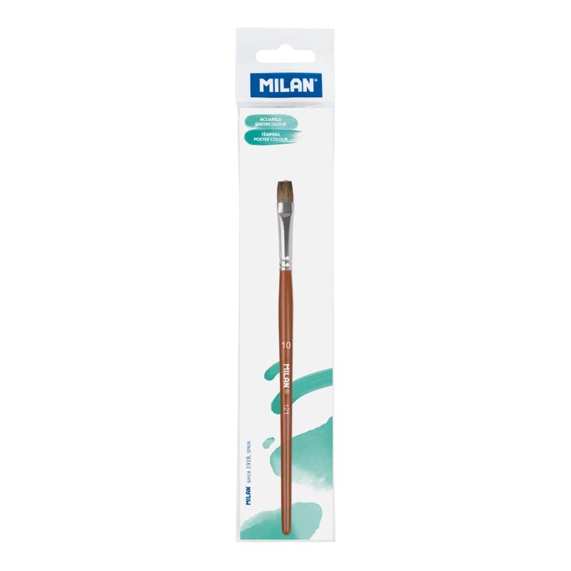Bustina con gancio pennello scuola piatto serie 121 n 10... - Amazon Italie à 7.43€