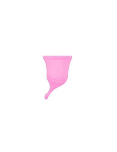 Tamponi marca Femintimate Eve Cup (New) Femintimate L - Santé & Bien-être Amazon Italie à 5.34€