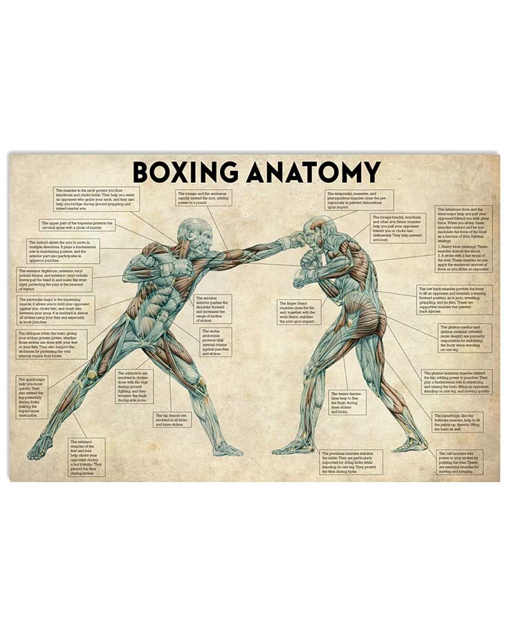 CCPARTON Boxing Anatomy Metal Tin Signs Vintage Signs... - Fournitures Bureau Amazon Royaume-Uni à 1.00€