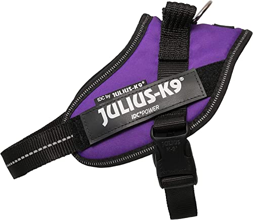 JULIUS-K9 IDC Powerharness, Size: 2XS/Baby 2, Dark Purple - Bébé & Puériculture en promo à 19.79€