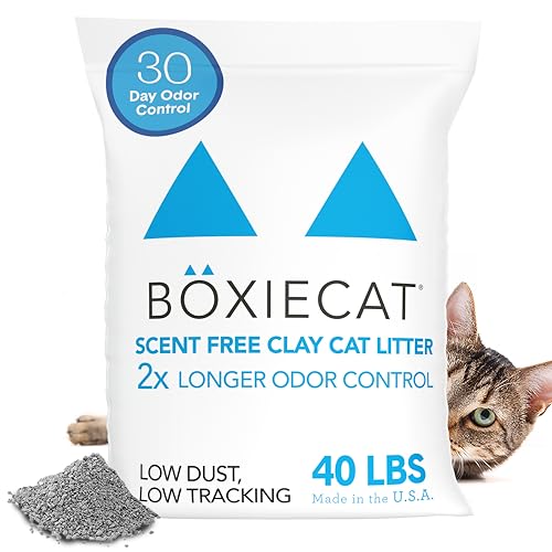 Boxiecat Premium Clumping Cat Litter - Scent Free - Clay... - Animalerie Amazon Royaume-Uni à 31.93€