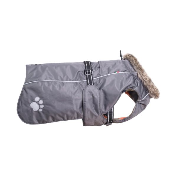 Chiara Abrigo para Perro con arnés para Perro (Ropa para... - Maison & Cuisine Amazon Espagne à 21.55€