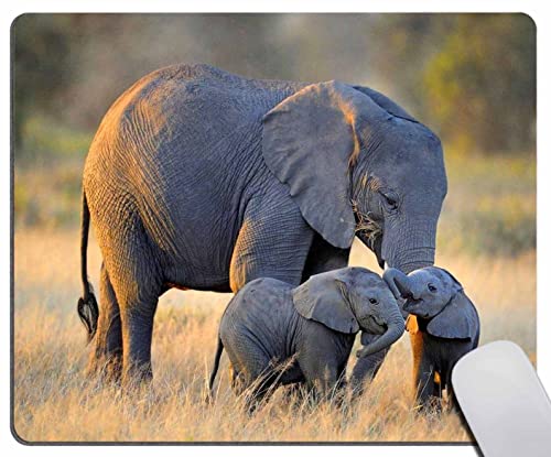 Mauspad, Desktop, Laptop, Büro, Elefant mit Baby-Mauspad... - Fournitures Bureau Amazon Allemagne à 0.50€