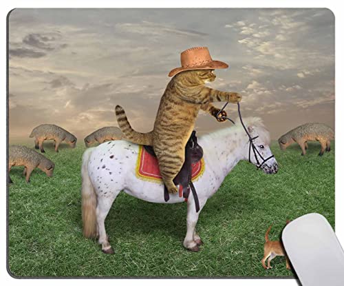 Solekla Mauspad, Lustige Katze und ihr Hund, Waschbares... - Animalerie Amazon Allemagne à 0.50€