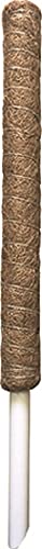 Muñequera de Musgo, 60 cm - Amazon Espagne à 9.76€