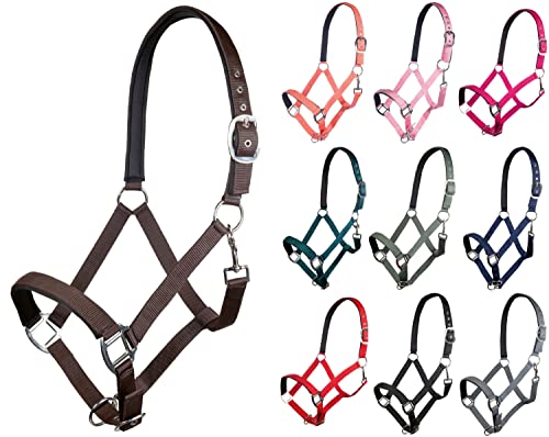 HKM Charming with soft padding Head Collar Brown Full - Animalerie Amazon Royaume-Uni à 8.95€