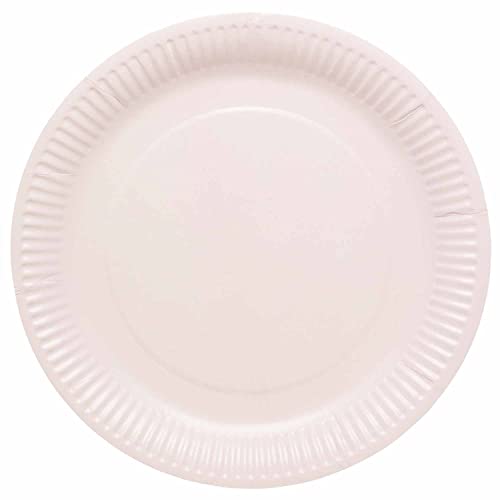 amscan 9915400-201-66 - Piatti di carta riciclabili... - Auto & Moto Amazon Italie à 2.99€