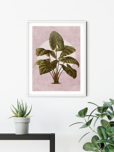 Komar Cuadro de pared - Créatures Végétales - Tamaño: 30 x... - Amazon Espagne à 8.68€