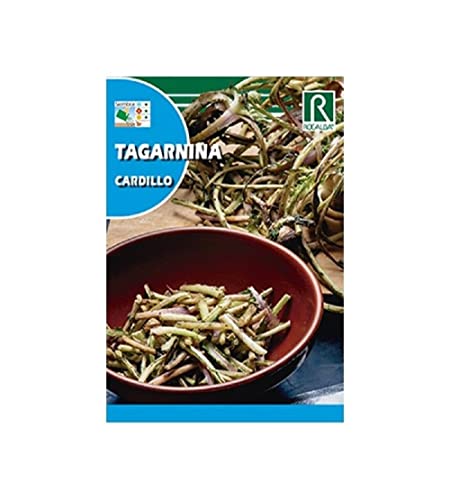 ROCALBA CARDILLO (TAGARNINAS) 0,3g - Auto & Moto Amazon Espagne à 1.95€