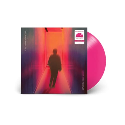 Can't Stay Forever - Musique & Instruments Amazon Allemagne à 12.49€