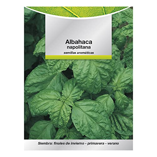 Semillas Aromáticas Albahaca Gigante (5 gramos)... - High-Tech & Électronique en promo à 2.88€
