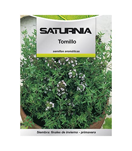 Semillas Aromaticas Tomillo (1 gramo) Horticultura... - High-Tech & Électronique Amazon Espagne à 2.88€