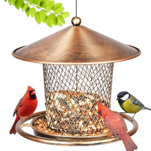 Eichhörnchensichere Vogelfutterspender, niedliche Laterne... - Maison & Cuisine Amazon Allemagne à 14.63€