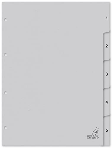 Kangaro Lot de 5 intercalaires en carton recyclé gris FSC... - Auto & Moto Amazon France à 2.21€