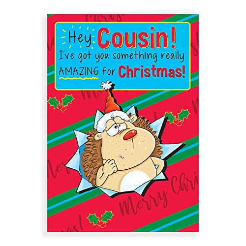 Regal Publishing Humour Christmas Card Cousin - 9 x 6... - Auto & Moto Amazon Royaume-Uni à 2.67€