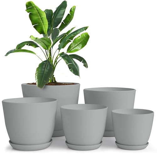 Utopia Home Plastic Planters Grey, Flower Nursery Pots... - Jardin & Extérieur Amazon Royaume-Uni à 9.13€