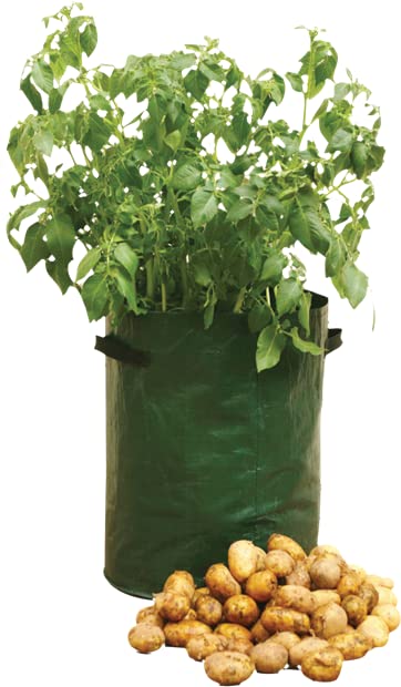 Green Plastic Potato Planter (34 x 45cm) 1 Piece - Easy to... - Jardin & Extérieur Amazon Royaume-Uni à 1.72€