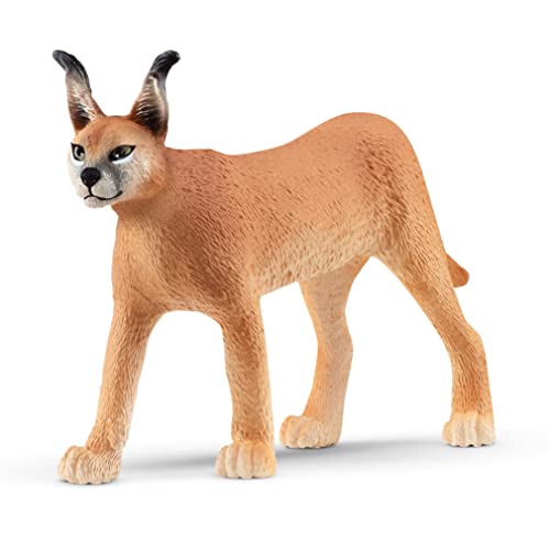 Schleich 14867 Femelle Caracal (Wild Life) - Jouets & Jeux Amazon France à 3.99€