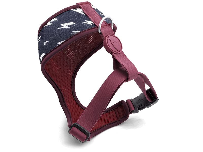 MORSO® Atmungsaktives Air-Mesh-Geschirr für kleine Hunde... - Animalerie Amazon Allemagne à 11.30€