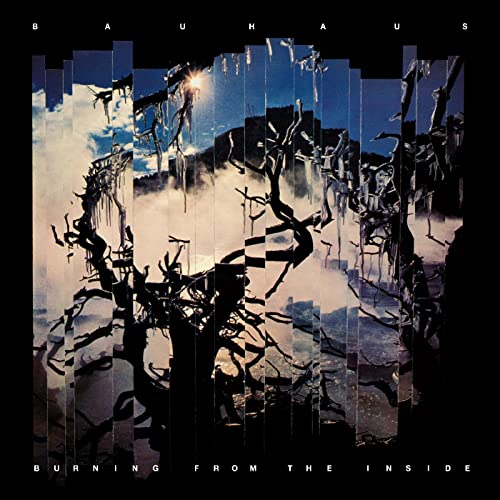 Burning from the Inside (Reissue) [Vinyl LP] - Amazon Germany à 26.99€