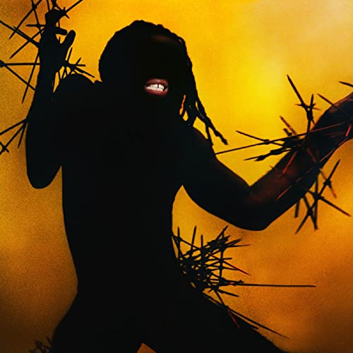 Heavy Heavy - Musique & Instruments Amazon France à 24.15€