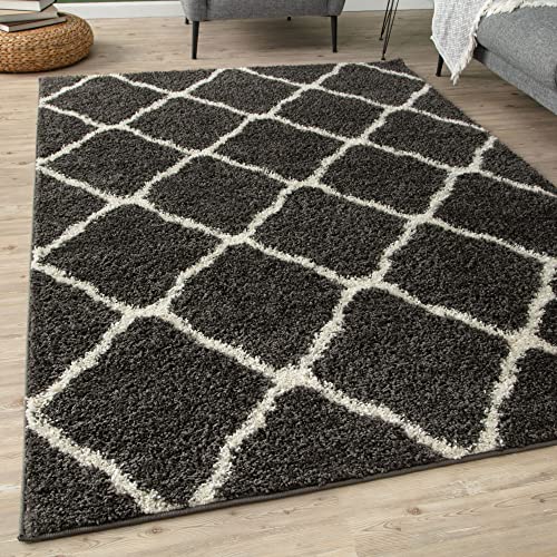 THE RUGS Tapis à Poils Longs Moderne au Design marocain... en promo à 35,18€ (-53%) sur Amazon FR