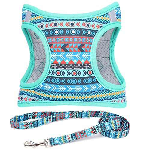 Moonpet Step in Harnais et Laisse pour Chien - Fleur... en promo à 10,95€ (-51%) sur Amazon FR