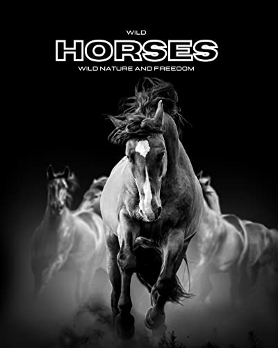 Wild Horses - Wild Nature and Freedom: Color photo album.... - Pet Supplies Amazon Germany à 36.70€