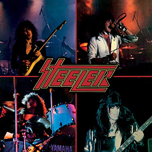 Steeler [Vinyl LP] - DIY & Tools Amazon Germany à 38.39€