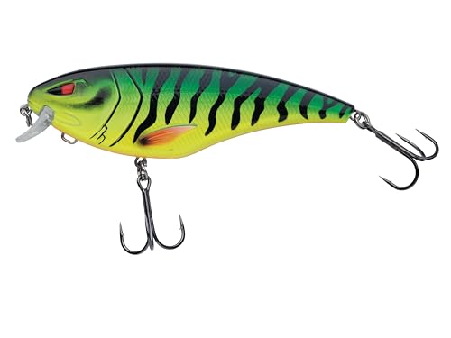 Berkley Zilla Flanker, leurre Wobbler à faible profondeur... - Tech & Electronics Amazon France à 16.69€