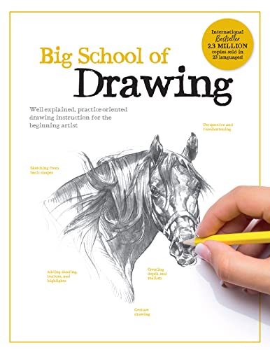 Big School of Drawing: Well-explained, practice-oriented... - Vente Flash Amazon -71%